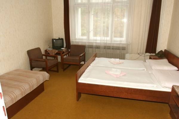 Hotel Michle 3*