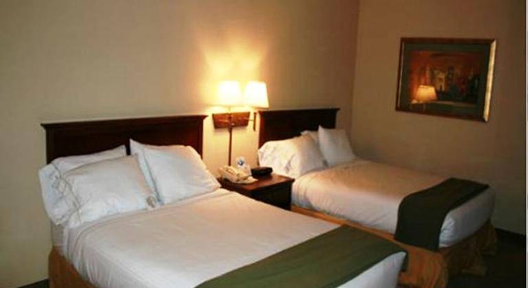 Holiday Inn Express & Suites Pigeon Forge/Near Dollywood