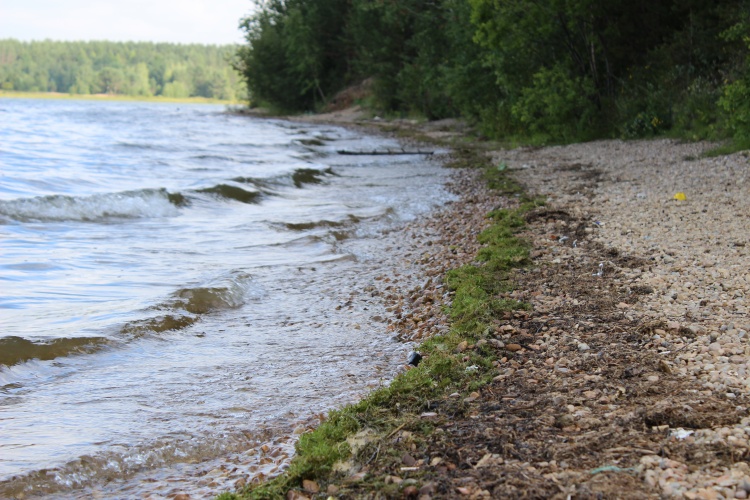 Парк-Отель Бурдугуз