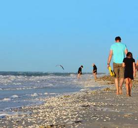 Туры в Sanibel Inn в США