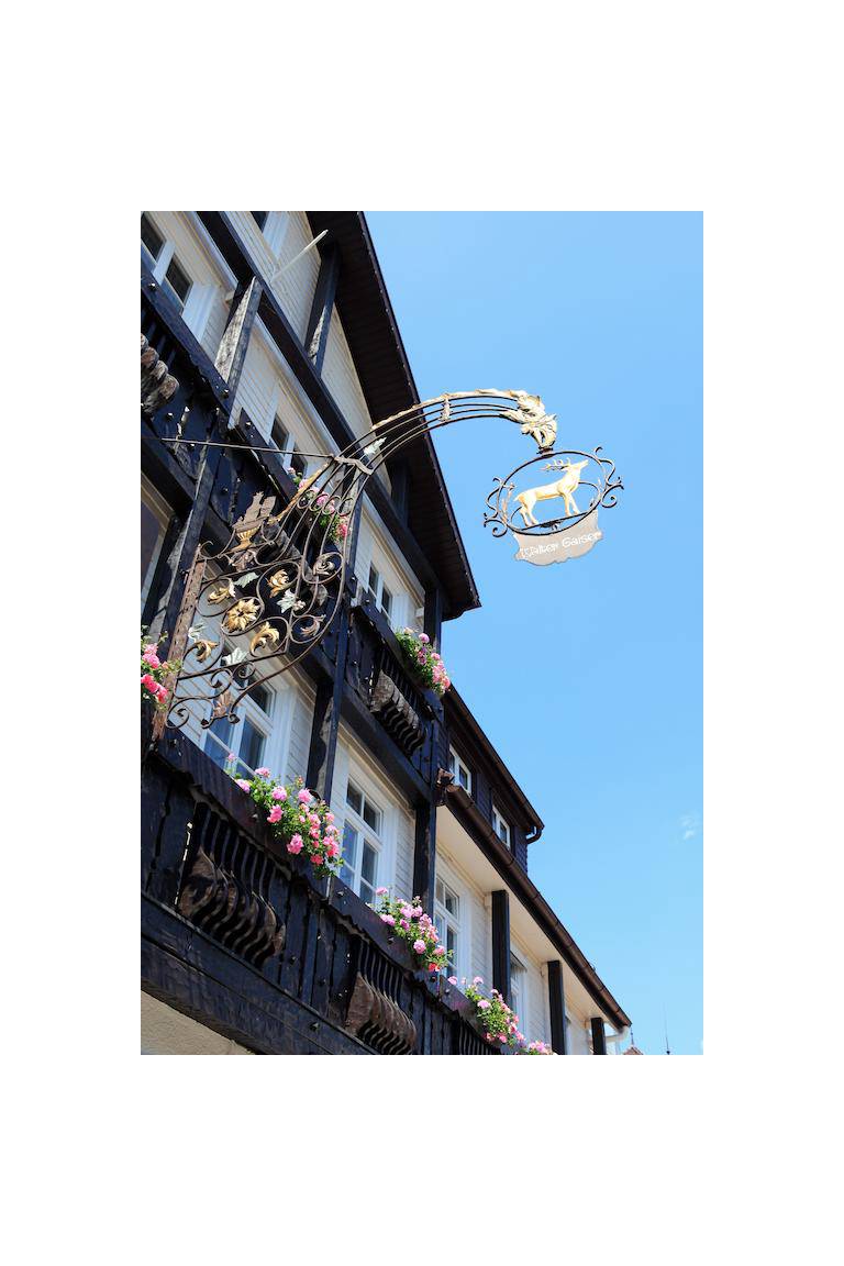 Hotel Hirsch