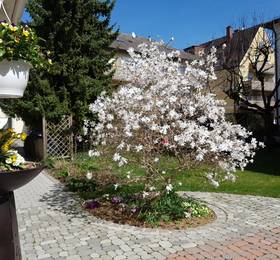 Туры в Hotel Marienhof в Германии