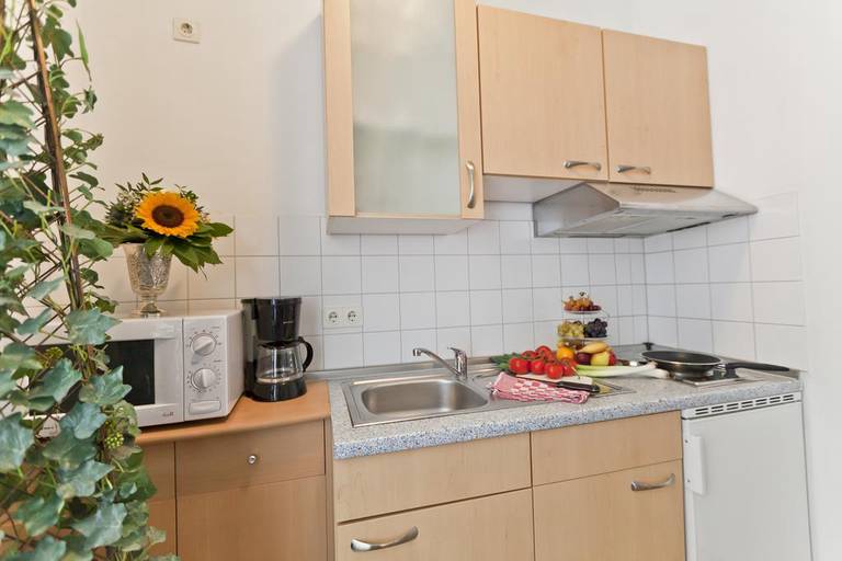 Apartment zum Goldenen Lowen