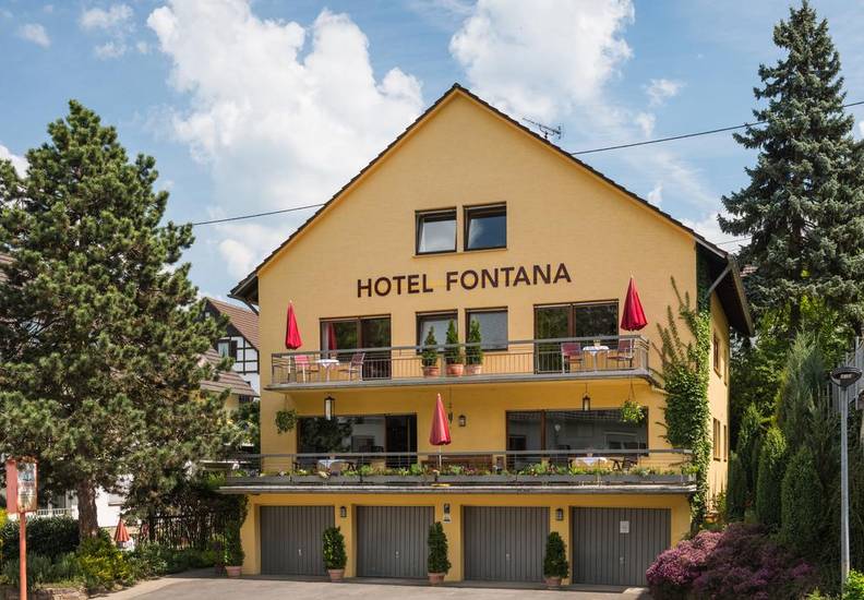Hotel Fontana Германия, Бад-Брайзиг