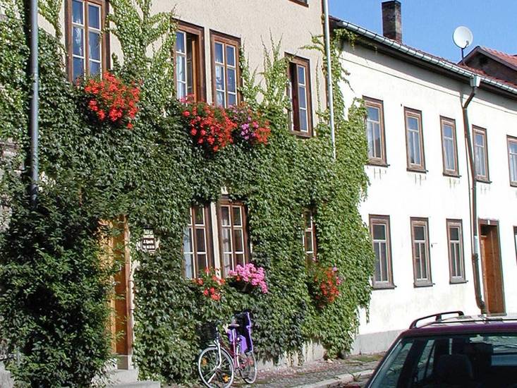 Pension Johanna Specht Германия, Арнштадт