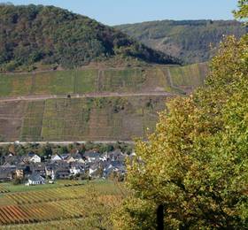 Отдых в Ferienhaus Mosel Bub - Германия, Бруттиг-Фанкель