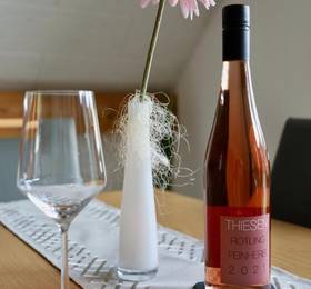 Ferienweingut Klaus Thiesen Gastezimmer und Apartments в Элленц-Польтерсдорфе