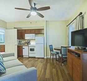 Туры в Wyndham Cypress Palms в США