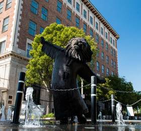 Отдых в DoubleTree by Hilton Los Angeles Westside - США, Калифорния