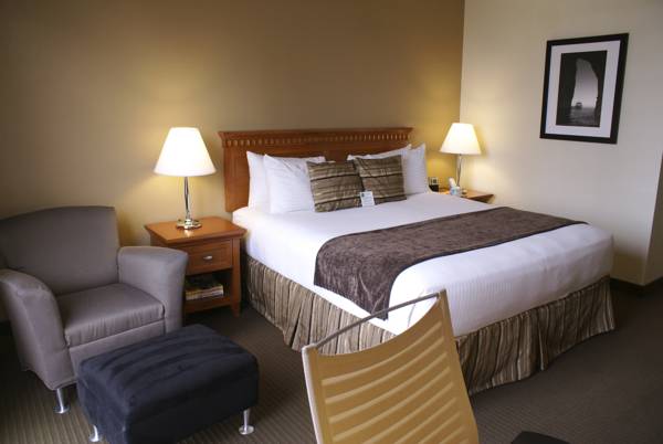 BEST WESTERN PLUS Bayside Inn