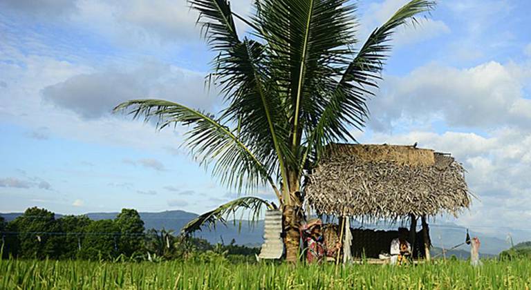 Sanak Retreat Bali, Munduk /Buleleng