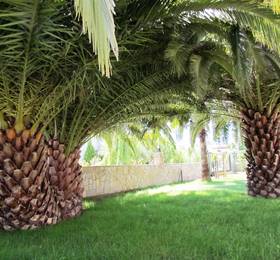 Dalyan Palmiye Resort Hotel в Дальяне