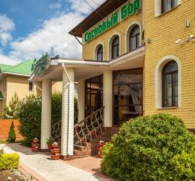 Сосновый Бор в Ижевске