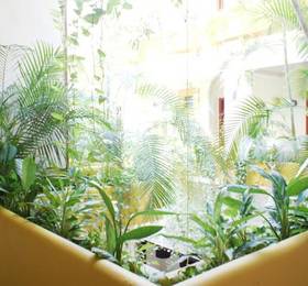 Туры в Los Itzaes Hotel, Playa del Carmen в Мексике