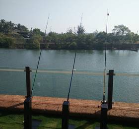 Acron Waterfront Resort в Гоа