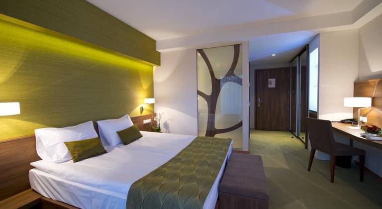 Imola Hotel Platan