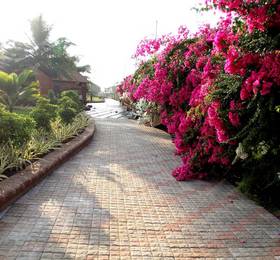 Отдых в The Fern Beira Mar Resort - Индия, Гоа