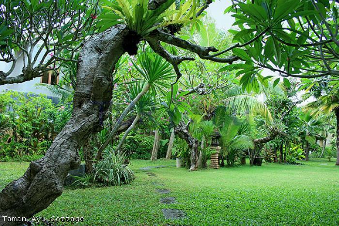 Taman Ayu Cottage 3* Индонезия, Бали