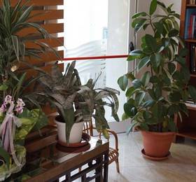 Angelus Hotel в Римини