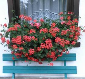Residence Negritella в Валь ди Фемме