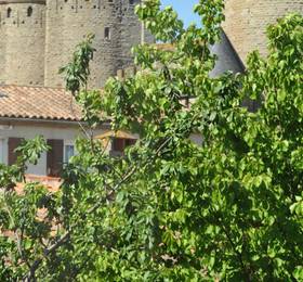 Inter-hotel Espace Cite, Carcassonne в Лане