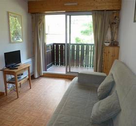 Отдых в Marmotte Studio Apartment - Франция, Шамони