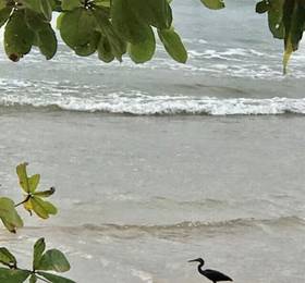 Туры в Beachfront Phuket в Таиланде