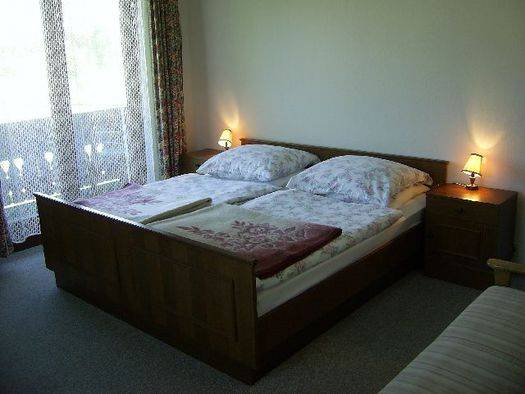 Guesthaus Niederbrucker 3* Австрия, Зальцкаммергут