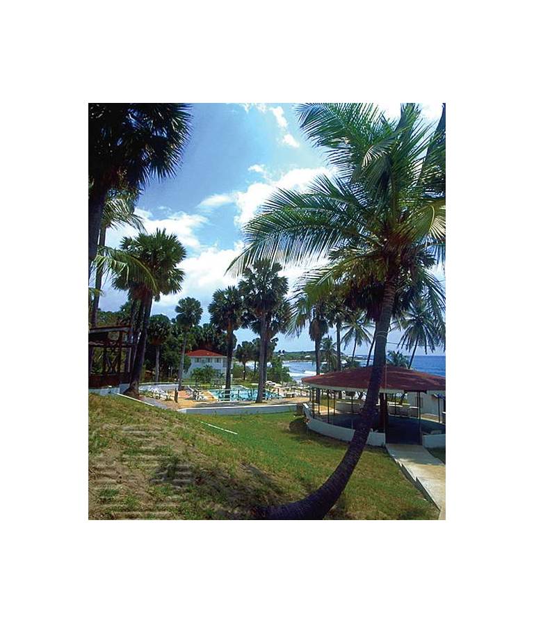 Treasure Beach Hotel