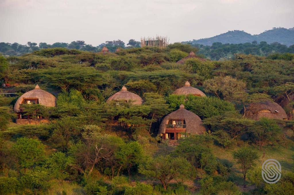 Serengeti Serena Safari Lodge 4*