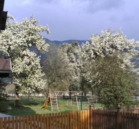 Туры в Proellerhof Ferienwohnungen в Австрии