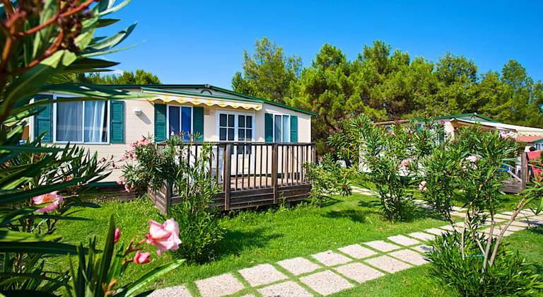 Arena Stupice Campsite