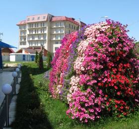 Туры в Grand Hotel Perla Ciucasului в Румынии