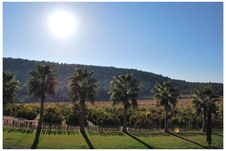 Masia El Ferrajon
