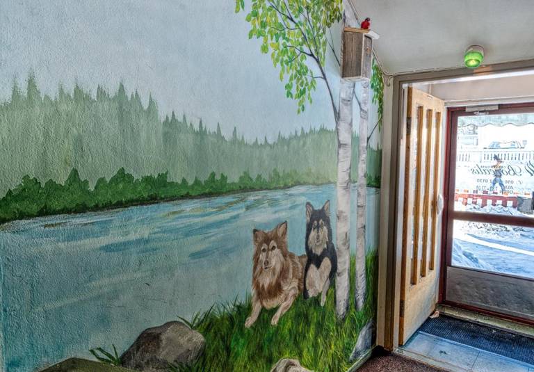 Guesthouse Borealis