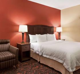 Туры в Hampton Inn Houston-Brookhollow в США