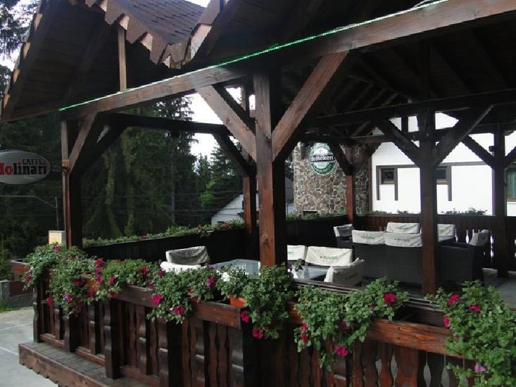 Montien Pension 5* Румыния, Южные Карпаты