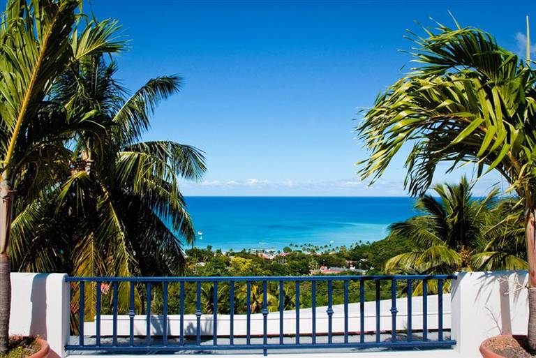 Trade Winds