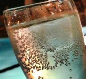 Туры в Villaggio Club La Feluca в Италии