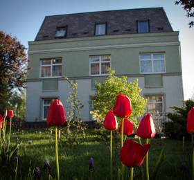 Туры в Jagello Business Hotel в Венгрии