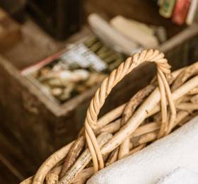 Туры в Be Tulum Beach Spa Resort в Мексике