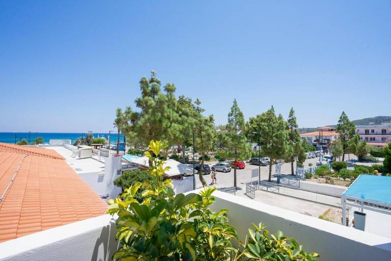 Bivalvia Beach Plus