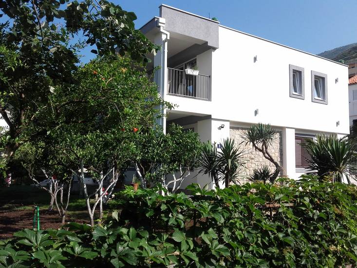Guest House Djonovic 3* Черногория, Петровац