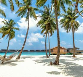 Отдых в Kudadoo Maldives Private Island - Мальдивы, Лавиани Атолл