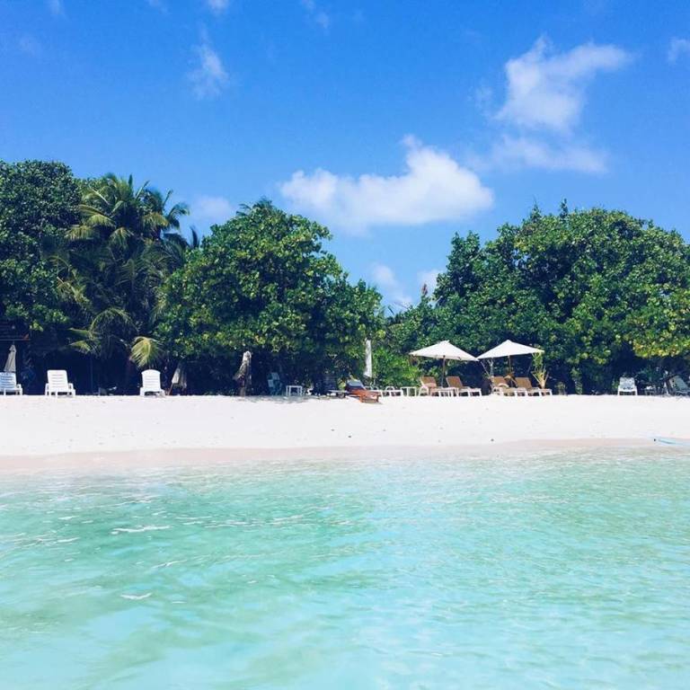 Palm Lodge