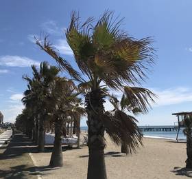 Туры в Rixos Premium Belek Villas в Турции