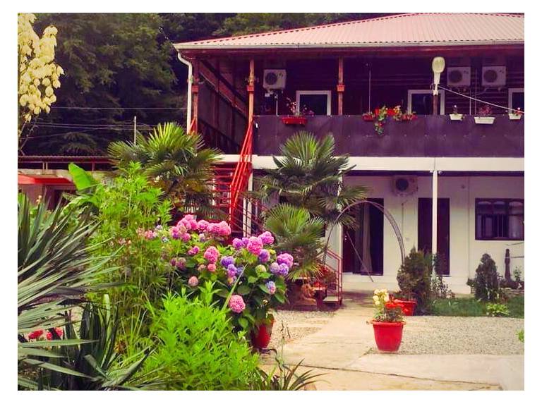 Hotel Bambucho