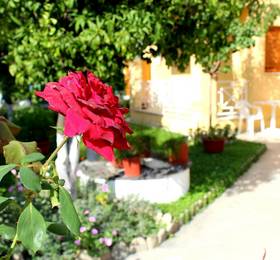 Rantos Apartments в Сивоте