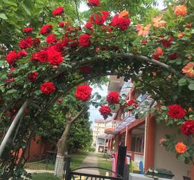 Guest House Smile в Кобулети