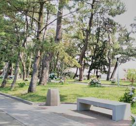 Отдых в Sunny Hotel - Грузия, Кобулети